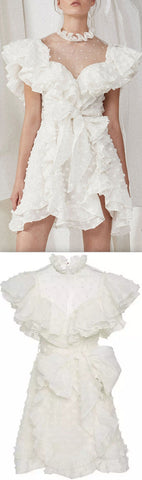 Ruffled Mini Dress