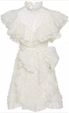 Ruffled Mini Dress