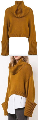 Turtleneck Cropped Jumper