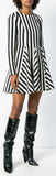 Striped Printed Flared Dress