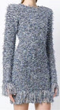 Fringed Mini Dress