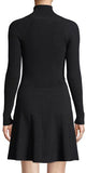 Black Turtleneck Dress