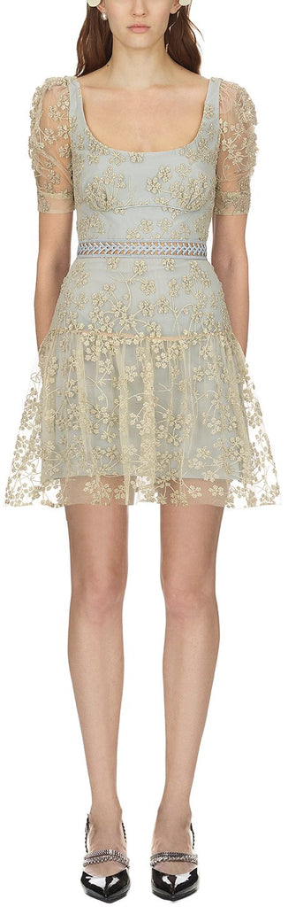 Floral Embroidered Mesh Mini Dress