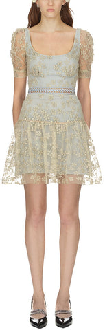Floral Embroidered Mesh Mini Dress