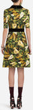 Pear Printed Brocade Dress