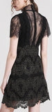 Black Lace Mesh Mini Dress