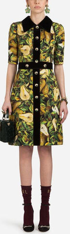 Pear Printed Brocade Dress