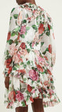 Rose-Print Silk-Chiffon Ruffled Mini Dress