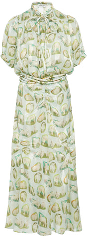 Printed Smock Dress