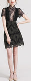 Black Lace Mesh Mini Dress