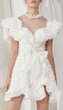 Ruffled Mini Dress