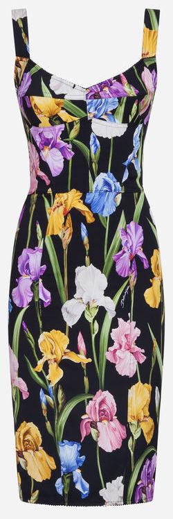 Floral Print Fitted Dress
