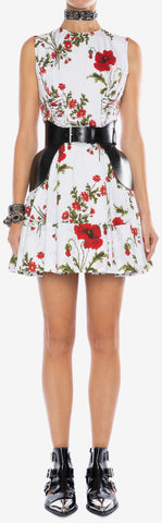 Poppyfield Pollin Mini Dress