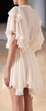 Ruffled Mini Dress