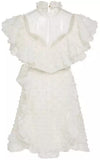 Ruffled Mini Dress