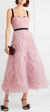 Velvet-Trimmed Tulle Gown