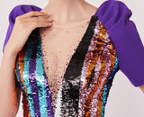 Heavily Sequin-Embellished Dress | DESIGNER INSPIRED FASHIONS
