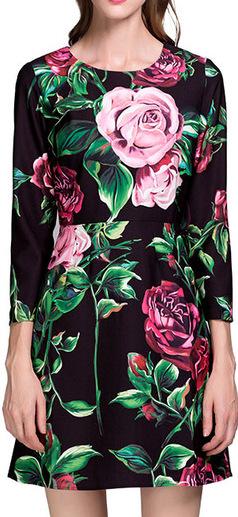 Rose Print Mini Dress
