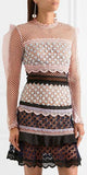 Ruffle-Trimmed Guipure Lace Mini Dress