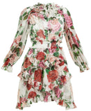 Rose-Print Silk-Chiffon Ruffled Mini Dress