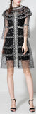 Embroidered Mesh & Tulle Dress