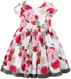 Rose Printed Pleated Dress - DESIGNER INSPIRED FASHIONS