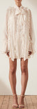 Ruffle Mini Dress