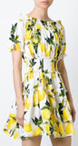Lemon Print Off-Shoulder Mini Dress - DESIGNER INSPIRED FASHIONS