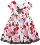 Rose Printed Pleated Dress - DESIGNER INSPIRED FASHIONS