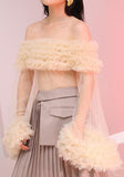 Off-the-Shoulder Ruffled Sheer Mesh Blouse