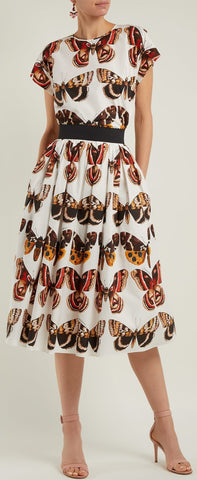 Butterfly Print Top and Skirt Set
