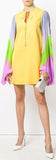 Rainbow Pleated Sleeve Dress