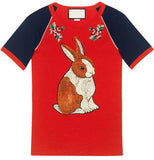 Raglan T-shirt with bunny Embroidery