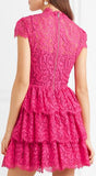 Ruffled Corded Pink Lace Mini Dress