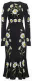 Daisy Print Flare Hem Dress