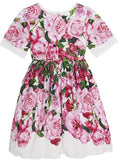 Floral Print Dress