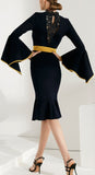 Flared Lace & Contrast Detail Dress