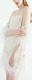 Feather-Trimmed Sheer-Paneled Mini Dress