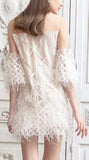 Feather-Trimmed Sheer-Paneled Mini Dress