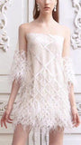 Feather-Trimmed Sheer-Paneled Mini Dress