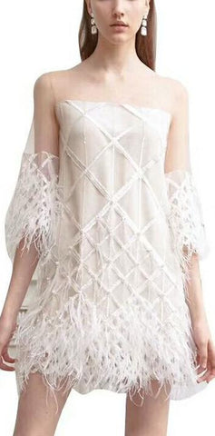 Feather-Trimmed Sheer-Paneled Mini Dress