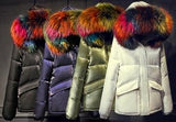 Rainbow Fur-Hooded Puffer Jacket - Champagne, Black, Blue or White