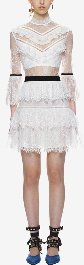 Fine Lace Mini Dress