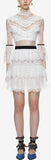 Fine Lace Mini Dress