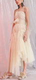 Pleated Mesh Asymmetrical Gown